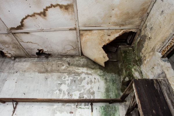 Water Damage Service in Victorville