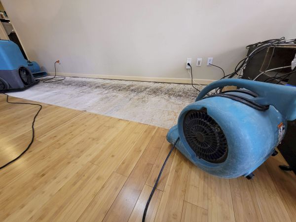 Water Damage Mitigation in Victorville