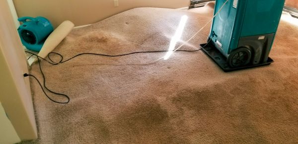 Carpet Water Extraction in Victorville