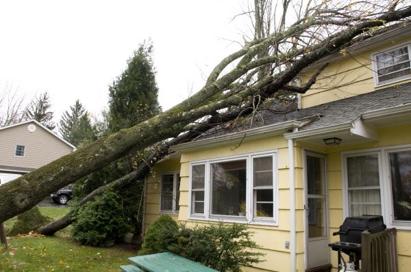 Storm Damage Mitigation in Victorville