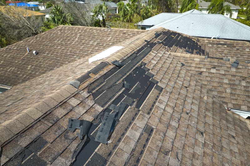 Repaired Roof