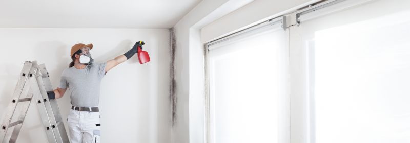 Mold Prevention Measures